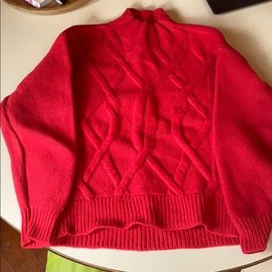 Everlane Turtleneck Sweater